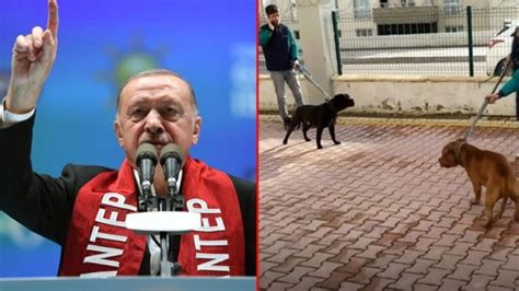 E­r­d­o­ğ­a­n­:­ ­­B­e­y­a­z­ ­T­ü­r­k­l­e­r­,­ ­H­a­y­v­a­n­l­a­r­ı­n­ı­z­a­ ­S­a­h­i­p­ ­Ç­ı­k­ı­n­­